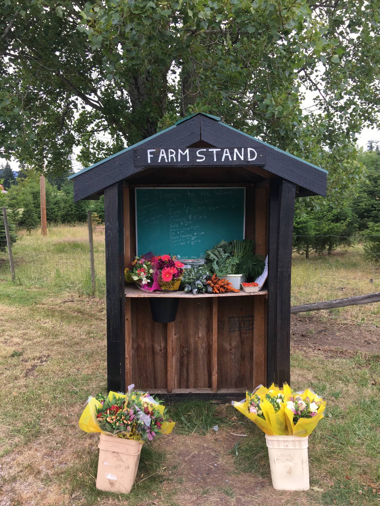 1246 Greig Ave Island Farm Stands