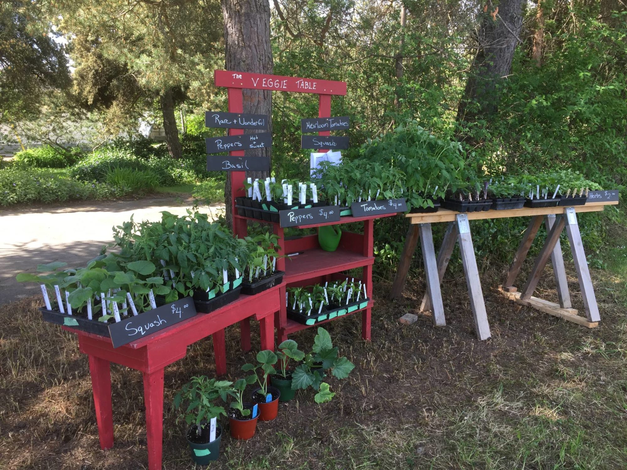 1533 Stellys Cross Road Island Farm Stands