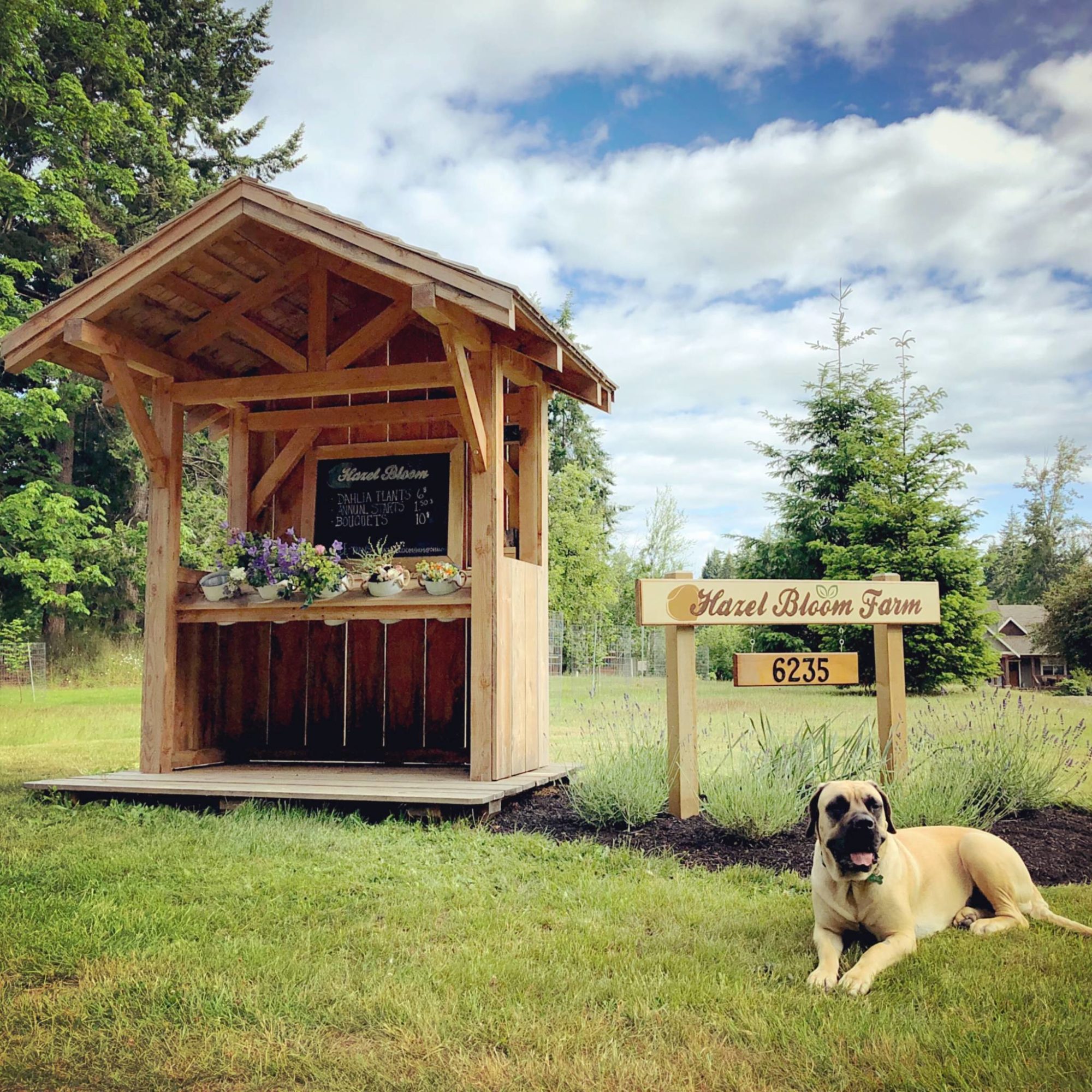 6235 Whitaker Road Island Farm Stands