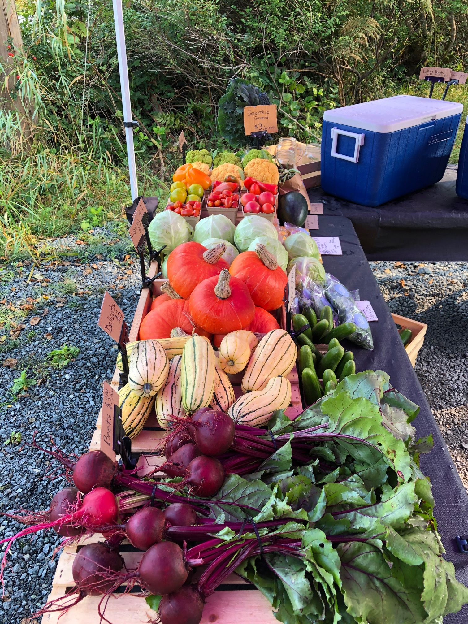 1580 Central Road Island Farm Stands