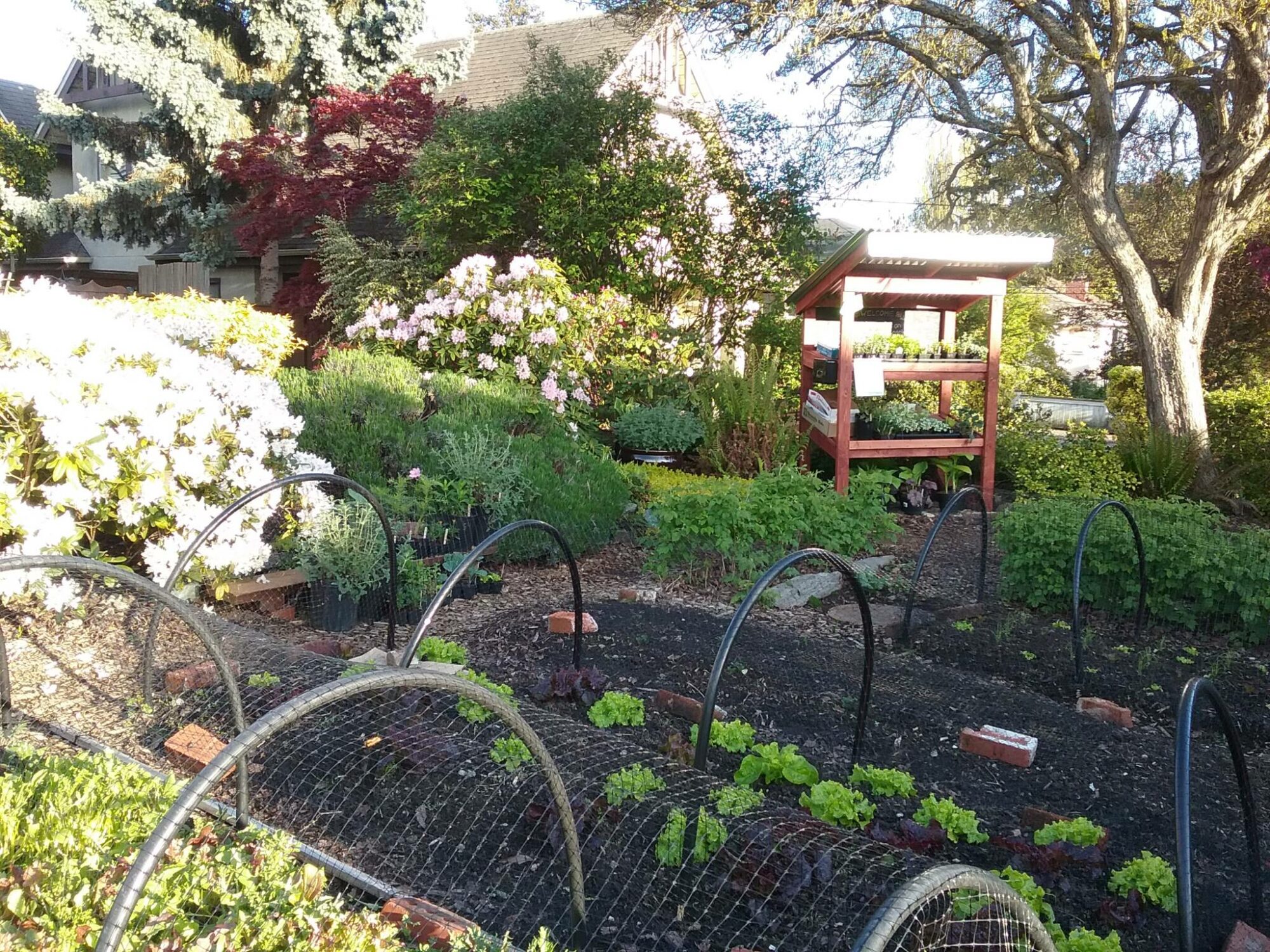 2535 Garden St Island Farm Stands