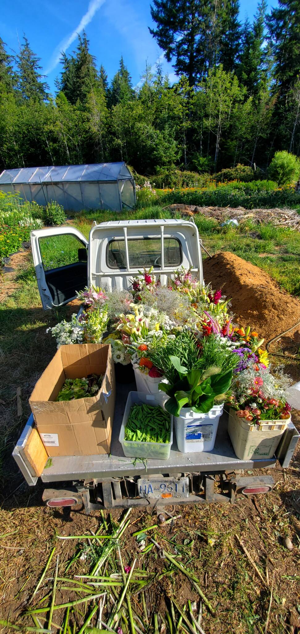 673 Plaza Rd Island Farm Stands